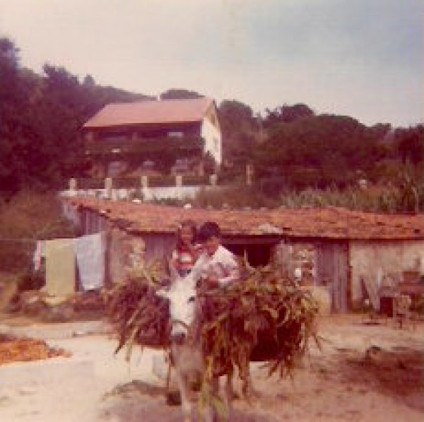 A Agricultura na Lagoa de Óbidos