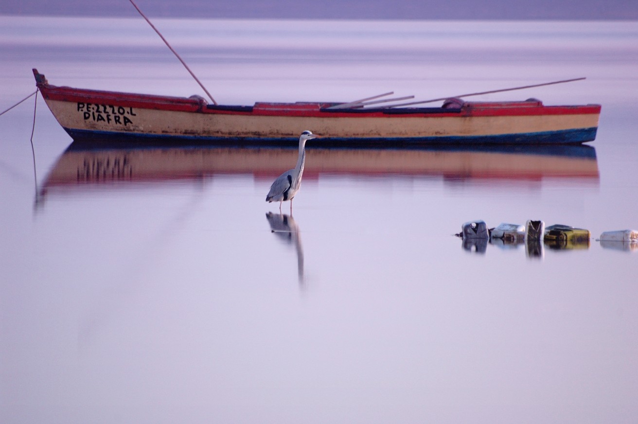 Autor da fotografia: Município de Óbidos
